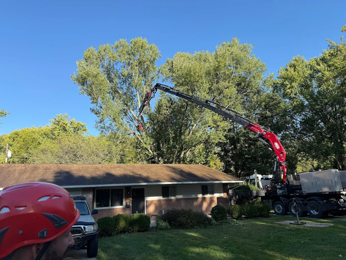 3n1 Tree Service
